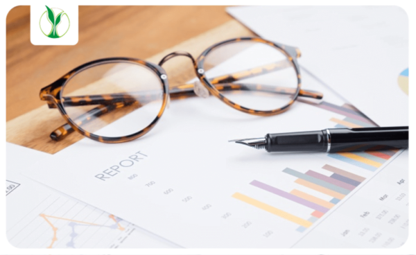 Financial Ratios