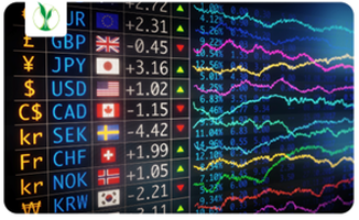 Currency Derivatives