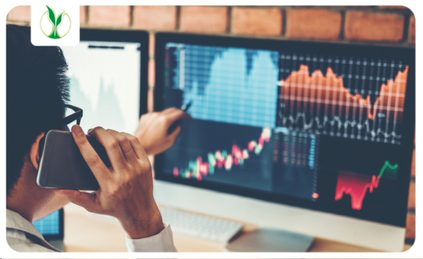 Equity Markets
